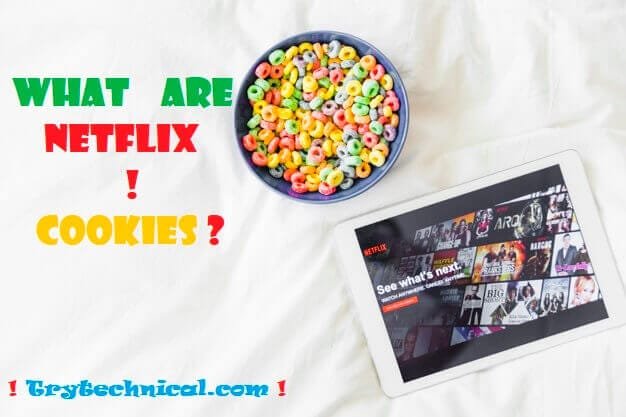 netflix premium cookies 2019