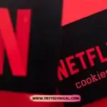 Netflix Cookies
