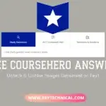 FREE CourseHero Answers Unlock & Unblur Images Document or Text