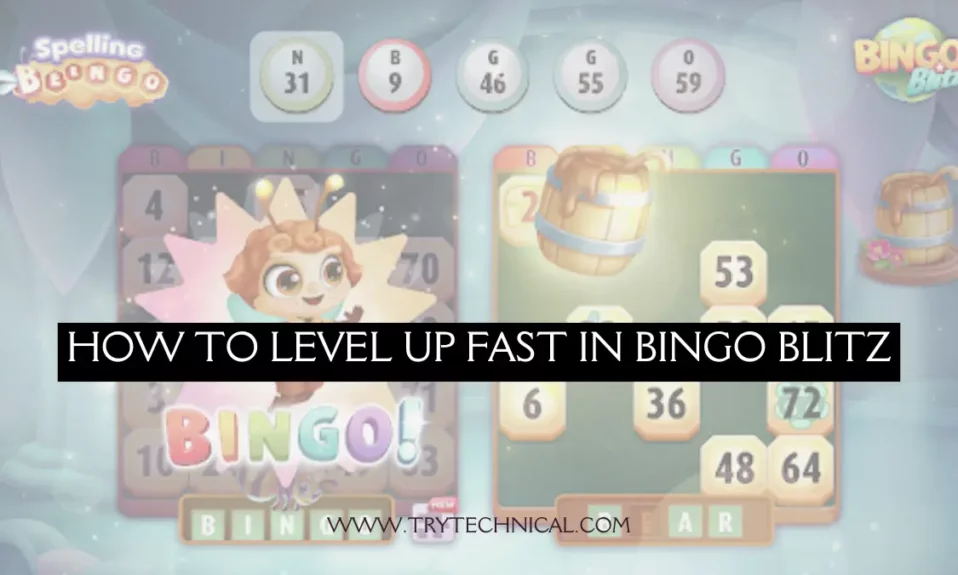 How To Level Up Fast In Bingo Blitz